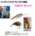 Beginner's Guide to Fishing! Bass Lure Plug Starter Set 1