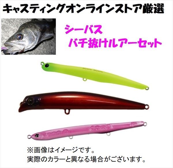 Beginner's Guide to Fishing! Seabass Bait Lure Starter Set 2