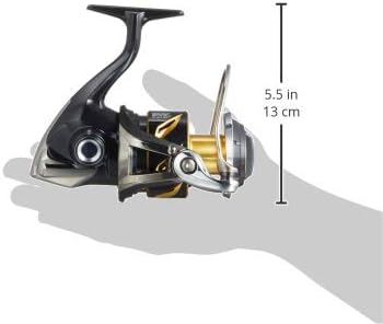 SHIMANO Reel 19 Stella SW 8000PG