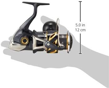 SHIMANO 20 Stella SW 4000HG