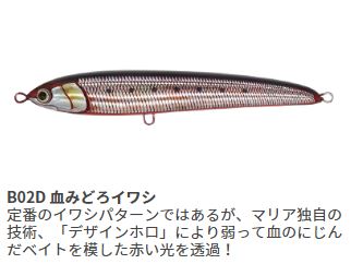 Maria Rapide F230 B02D Japanese sardine