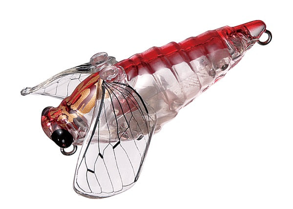 Smith Cicada 26. Red Dragonfly