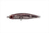 Smith Shirasu Minnow 48LLS Clear RG 21