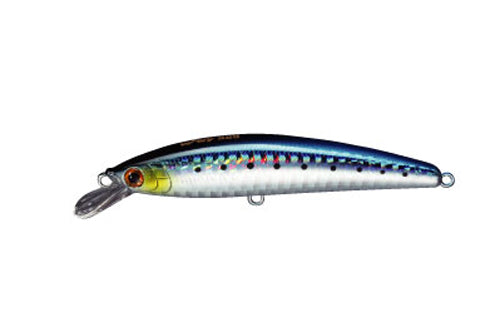 Smith Wavy S50 Sardine 03