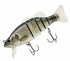 Smith Biwer Swim Bath 6 inch 51 Branzino