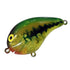 Smith Bass Lure Square A Smith Limited Color B05SL-SSA10 Chartreuse Flash Glee Baby Bass