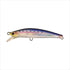 Jackson Pintail Sago Chiun 28g SNI Fresh Sardines