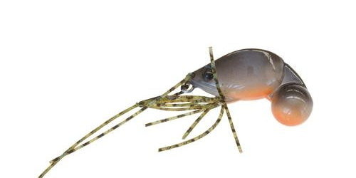 Jackson Chinu Koroli 10g KE Tiger Prawn