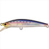 Jackson Pintail Sawara Tune 35g SNI Fresh Sardines