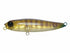 Jackson Risk Bait 70mm KEB Tiger Shrimp