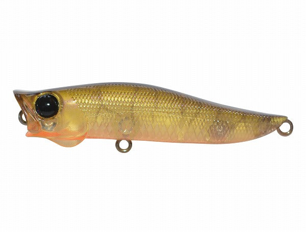 Jackson R. A Pop 70mm WDS Wild Shrimp