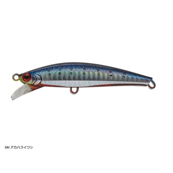 Jackson Seabass Lure Pintail Sagoshi Tune 20g SRI Red-flanked Sardine