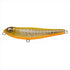 Megabass DOG-X Jr. COAYU Modena Bone