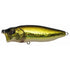 Megabass Bass Lure Popmax GG Bass