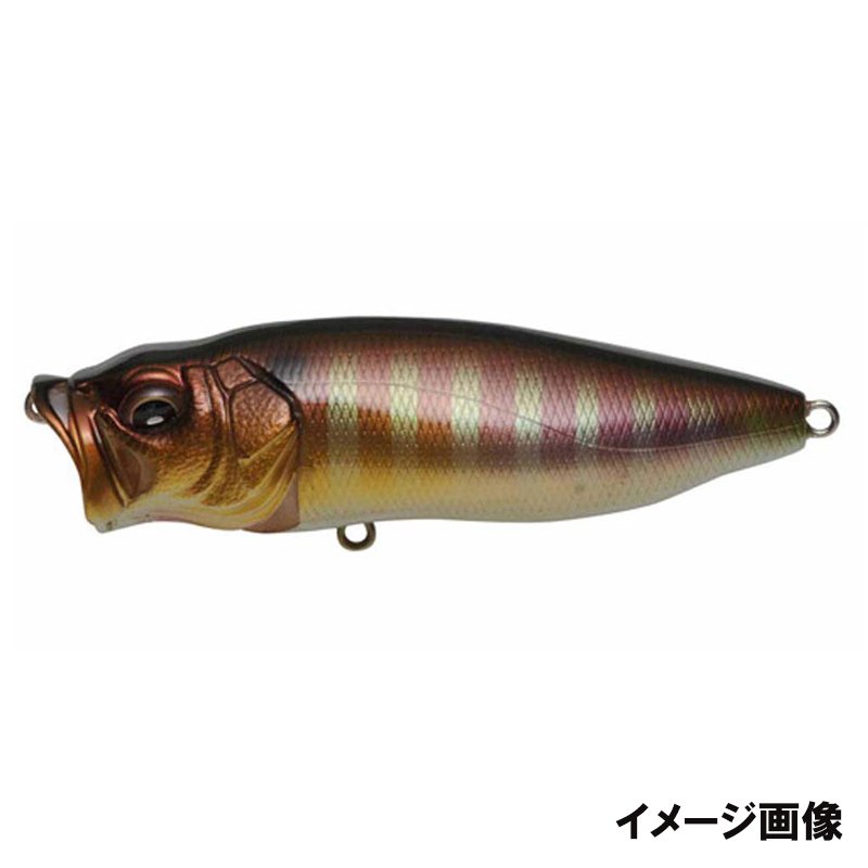 Megabass Bass Lure Popmax PM Gill