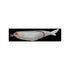 Megabass Pivot 9 White Peach