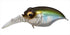 Megabass MR-X Griffon Waginhasu 3