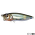 Megabass Bass Lure Popmax Takumi Hasu