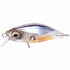 Megabass BEAGLE (F) Clear Squid