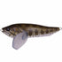 Megabass I-WING FRY Pagani Snakehead