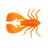 Megabass Worm FUWABUG 2.5 inch Orange Back Chart