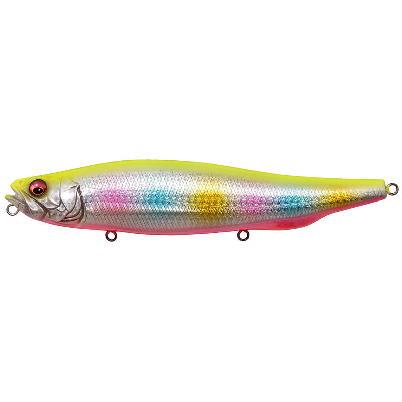 Megabass Seabass Lure Mega Dog 180 GG Chartback Rainbow PB