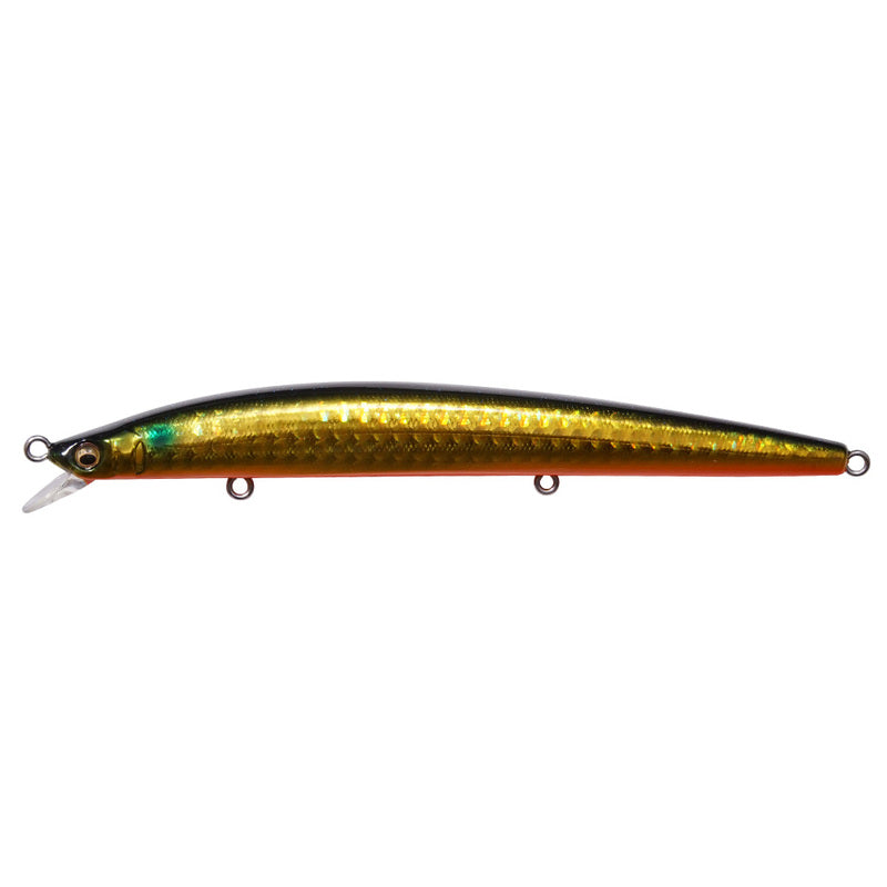 Megabass Seabass Lure Kukai Slim 120 GG Kinbora