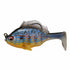 Megabass Worm Sleeper Gill 3.2 inch 3/4 oz. Cichlid 50017