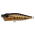 Megabass Bass Lure POPX FA Baby Snakehead