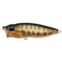 Megabass Bass Lure POPMAX FA Baby Snakehead