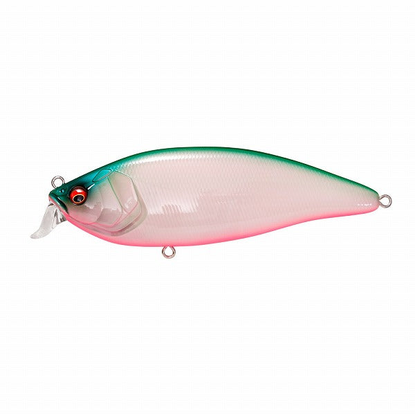 Megabass Seabass Lure Conosiras Shad (F) PM Bayside Green PB *Payment not available in store