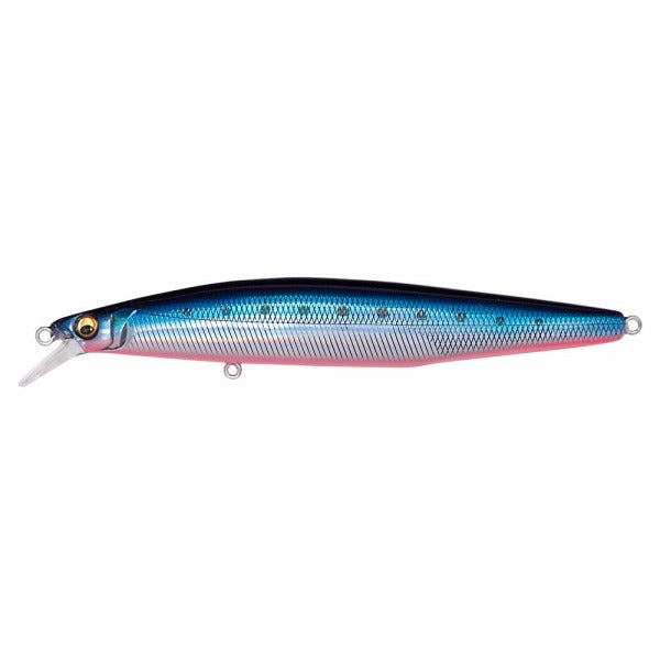 Megabass Sea Bass Lure MARINE GANG Cookai 120F LZ Blue Pink Sardine