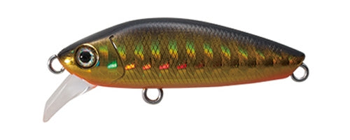 Tackle House Tyro Minnow STM44 No. 37 Gold Black/Orange Berry