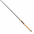 Tailwalk Caisson Landsback ?U C70MH (2-piece bait)