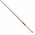 Tailwalk Caisson Landsback ?U C74MH (2-piece bait)