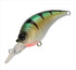 Tailwalk Bass Lure Crazy Crankbait 50SR #08 Yellow Perch