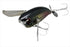 JACKALL Bass Lure Pompadour IS Black Pirarucu