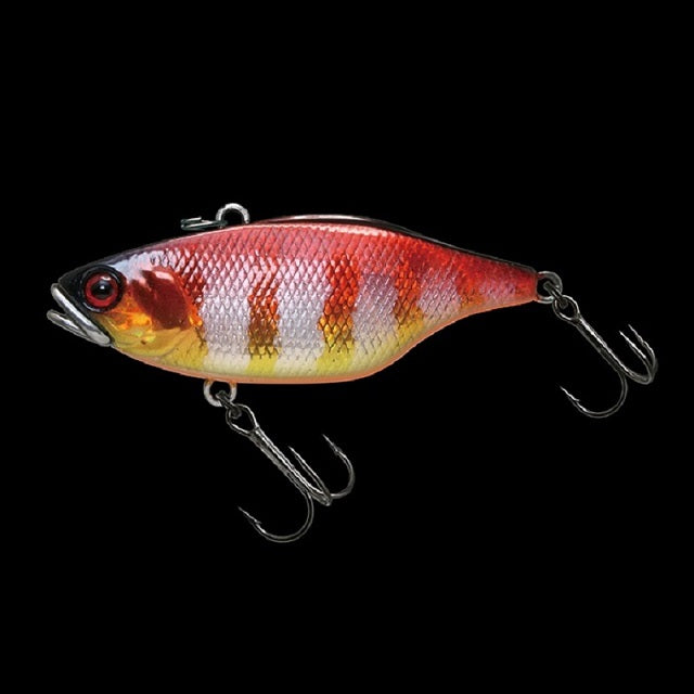JACKALL Skull Shell TN/70 Round Grouper Sound Round Grouper Red Gold Gill