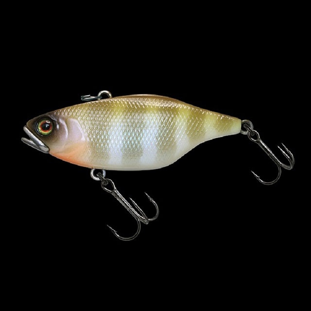 JACKALL Skull Shell TN/70 Round Grouper Sound Round Grouper White Gill