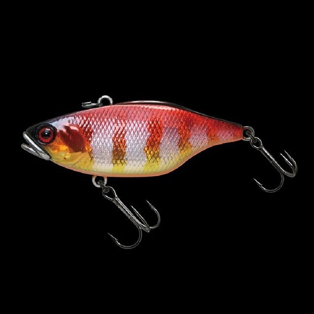 JACKALL Skull Shell TN/60 Round Grouper Sound Round Grouper Red Gold Gill