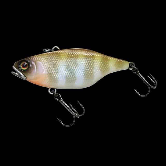 JACKALL Skull Shell TN/60 Round Grouper Sound Round Grouper White Gill