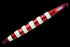 JACKALL Anchovy Metal TYPE-3 80g HL Red/Glow Stripe