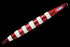 JACKALL Anchovy Metal TYPE-3 200g HL Red/Glow Stripe