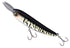 JACKALL Riser Bait 008 RISER Flash Tiger