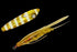 JACKALL Binbin Inchiku 60g Glow Gold Stripe/Sandlance T+