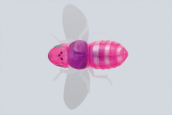 JACKALL Bug Dog Bug Pink