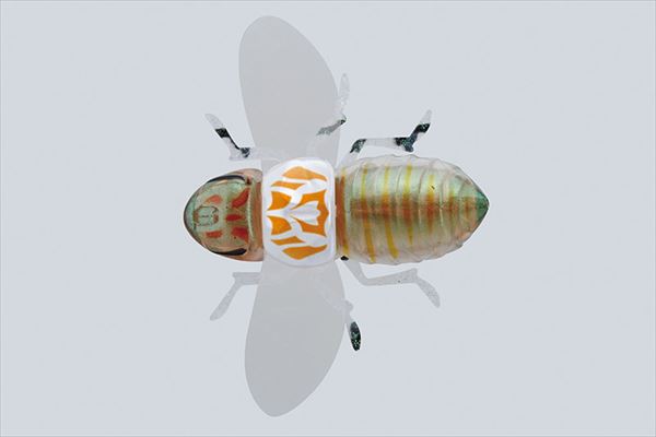 JACKALL Bug Dog Hatching Seminar