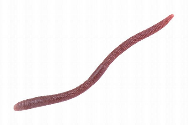 JACKALL Flick Shake 5.8 inch Earthworm