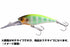 JACKALL D-Bill Shad 55SR POL Chartback Bluegill