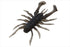 JACKALL RV-Bug 3.0 inch Mimic Shrimp